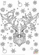 Zentangle Deer Coloring Weihnachtshirsch Supercoloring Lichterkette Bulbs Ausmalbild Natal Ausdrucken Kolorowanka sketch template