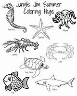 Coloring Pages Animal Animals Summer Printable Ocean Lots Sea Choose Board Fish sketch template