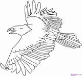 Harpy Drawing Eagle Coloring Getdrawings sketch template