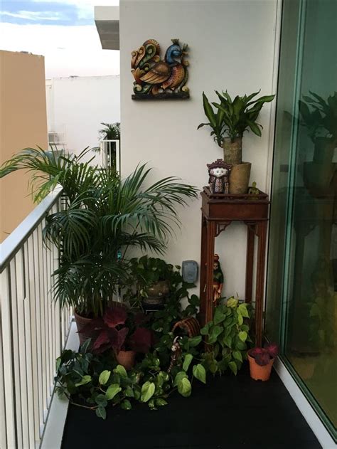 small balcony garden ideas  pinterest