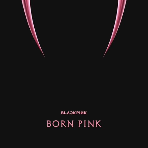 blackpink  album born pink box set ver
