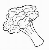 Broccoli Coloring Fresh Pages Coloringbay sketch template