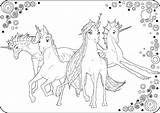 Ausmalen Zum Von Pferde Bilder Einhorn Ausmalbilder Gemerkt Kostenlos Ausdrucken sketch template