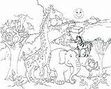 Safari Coloring Pages Animals Baby Getcolorings sketch template