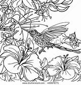 Tropical Coloring Pages Adults Birds Designlooter Leaves Flowers Vector Background Printable Getcolorings 470px 37kb Detailed Flower sketch template