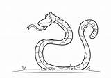 Snake Coloring Pages Rat sketch template