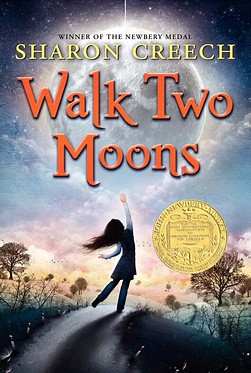 Image result for walk two moons