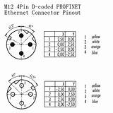 Pinout Connector M12 Coding Wiring Ethernet Profinet Coded 4pin Connection Fleconn sketch template
