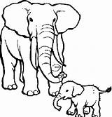 Elephant Coloring Pages Printable Circus Drawings Big Clipart Animal Elephants Zoo Indian Baby Colouring Two Small Chucky Color Kids Clipartmag sketch template