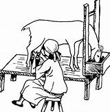 Goat Drawing Goats Dairy Nubian Milking Milk Getdrawings Follow sketch template