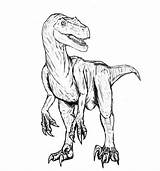 Velociraptor Raptor Bestcoloringpagesforkids Jurassic Dinosaurier sketch template