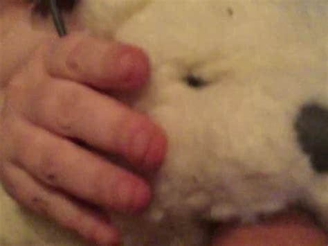 plushie furry hardcore teddy bear blow job free porn videos youporn