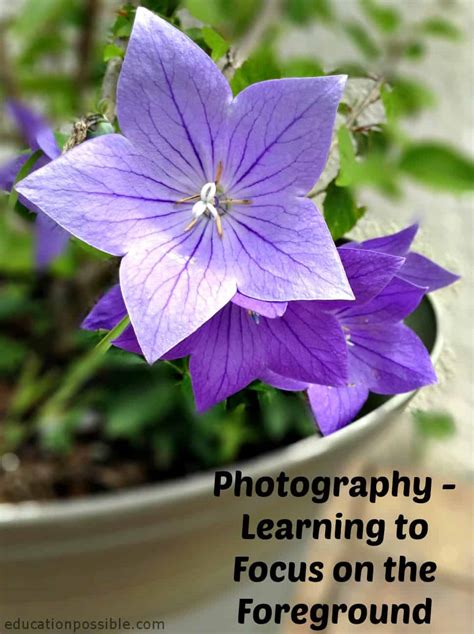 learning photography   virtual school