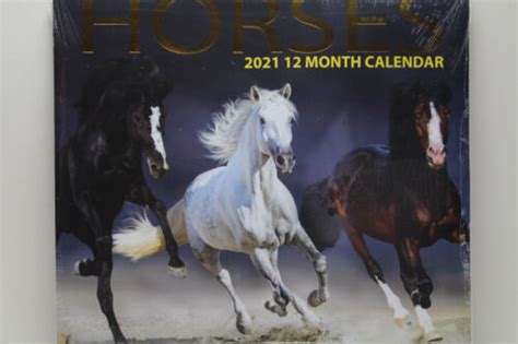 horses  month calendar  ebay