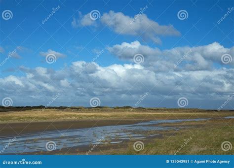 vliehorst vlieland stock image image  landscape