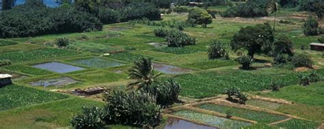 guidelines for the treatment of cultural landscapes