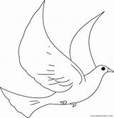 Dove Coloring4free Coloring Pages Printable Turtle Clip Baby Related Posts sketch template