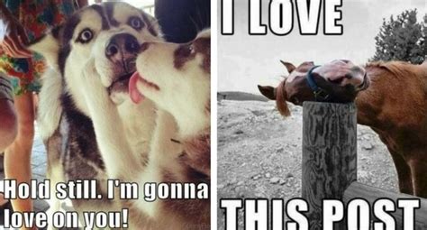 32 Love Memes That Are So Sweet You Can Literally Taste It