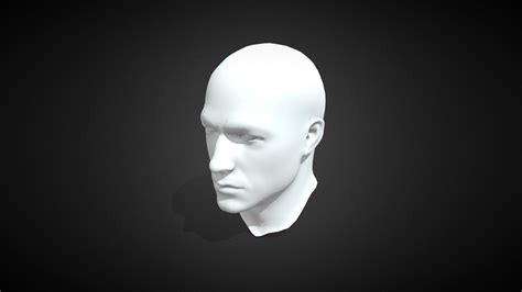 human head    model  vistaprime fd sketchfab
