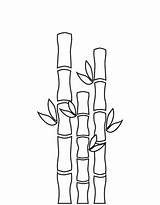 Bamboo Drawing Paintingvalley Drawings sketch template