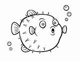 Pez Fish Peces Puffer Animales Pufferfish Palla Coloringcrew Angler Dibuixos Acolore Pesci Peix Globus sketch template