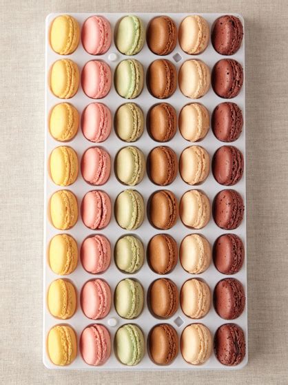 pin by emily hahn on other macarons macaroons food