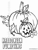 Pumpkins Coloring Leaves Halloween Acorns Printable Pumpkin Small Big sketch template