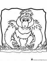 Gorilla Gorilas Gorila Importante sketch template