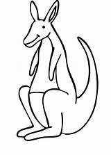 Kangaroo Coloring Pages Kids Printable Color Colouring Cliparts Bestcoloringpagesforkids Choose Board sketch template