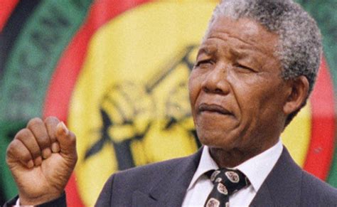 mandela legacy  costs   pushing hard  economic freedom