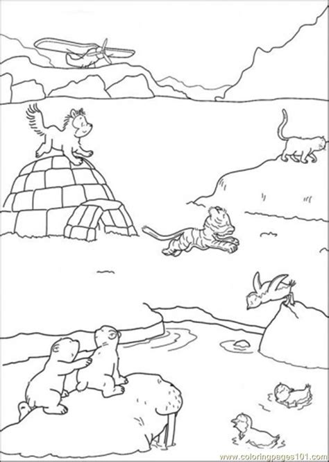 printable arctic animals coloring pages