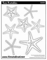 Starfish Template Templates Star Drawing Sea Preschool Kids Printable Worksheets Timvandevall Craft Print Printables Shape Ocean Paintingvalley Choose Board sketch template