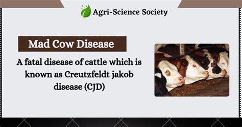 mad  diseases cjd agri science societyagss