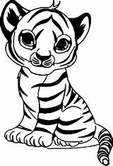 Tiger Coloring Baby Pages Printable Cute sketch template