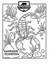 Scorpion Arachnid sketch template
