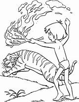 Dschungelbuch Ausmalbild Raskrasil Baloo Mowgli Kaa Ausmalen Malvorlage Wonder sketch template