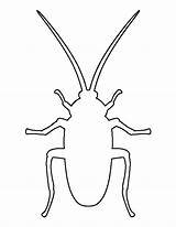 Cockroach Printable Templates Drawing Insect Pattern Outline Bug Template Patternuniverse Stencils Crafts Roach Paper Print Kids Pdf Cut Patterns Use sketch template