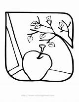 Coloring Fall Apples Apple Pages Clipart Panda sketch template