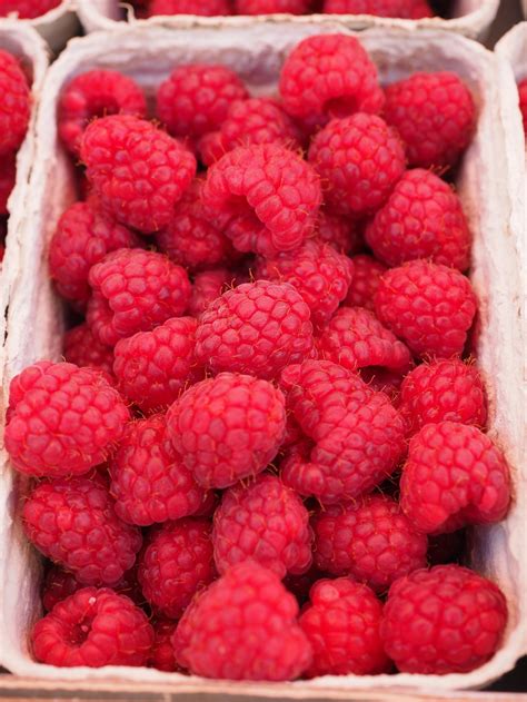 red raspberry  white container  stock photo