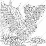 Coloring Pages Swan Adult Zentangle Instant Doodle sketch template