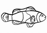 Fish Template Coloring Templates Blank Funny Shape sketch template