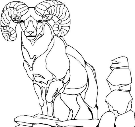 mountain goat coloring pages animal coloring sheets  kids animal