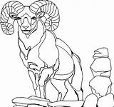 Mountain Goats 2448 Boer Designlooter sketch template