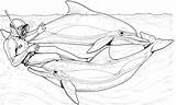 Dolphin Dolphins Taucher Bottlenose Delfini Delfine Delphin Malvorlage Delfin sketch template