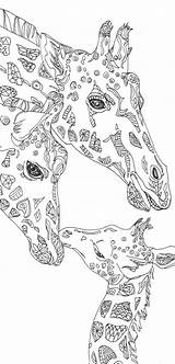 Giraffe Zentangle Coloriage Verob Painting Mandalas Giraffen Malvorlagen sketch template