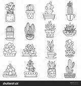 Succulent Cactus Templates sketch template