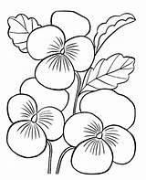 Mewarnai Bunga Cantik Kunjungi sketch template