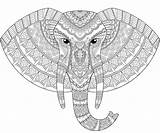Elefante Antistress Coloritura Adulta Zentangle Testa sketch template