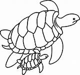 Turtle Coloring Sea Baby Pages Drawing Swimming Printable Outline Turtles Nemo Cute Green Simple Mother Color Barrier Clipart Leatherback Shell sketch template