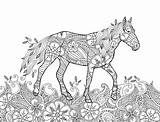 Kleurende Krabbelstijl Zentangle Weide Inspireerde Stijl Olifant Lopen Geïnspireerde Paard Illustratie sketch template